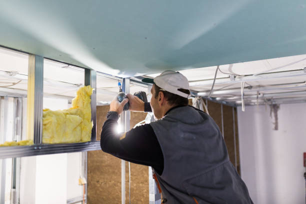 Best Eco-Friendly Insulation in Mount Pleasant, MI